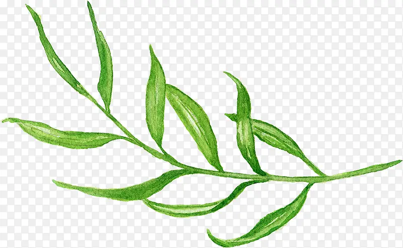 ��ɫ����ֲ���ֻ�-������