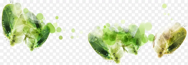 ��ɫֲ��׷ɴ���-������