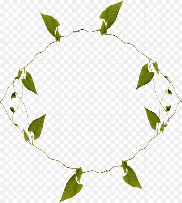 ��ɫֲ�ﻨ������-������