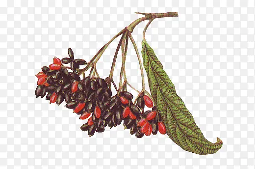 �������ϳ���Ӱֲ���ʵ-������