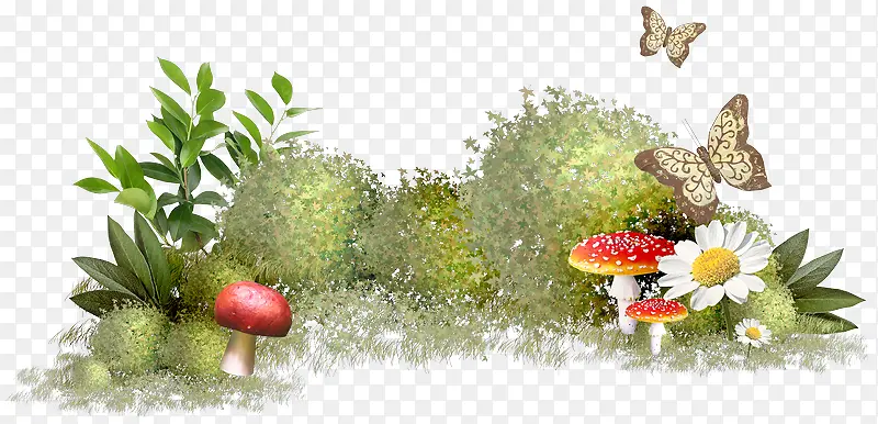 ����С������ֲ��-������