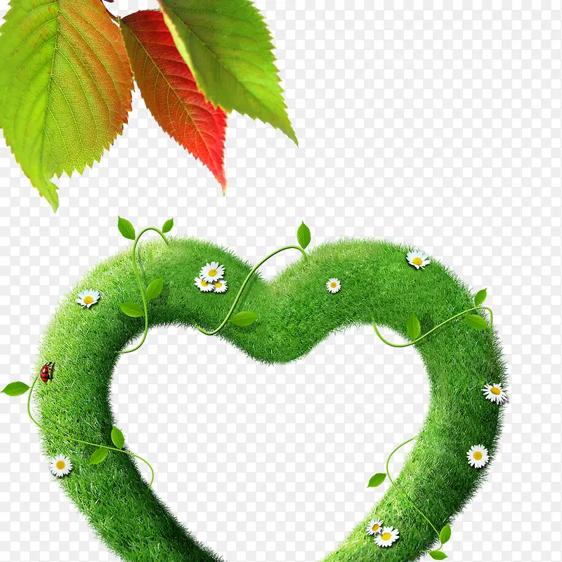 �ݻ�-������