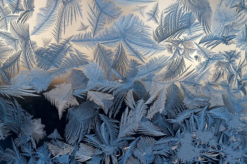 Ҷ�Ӳ��ʱ���-������