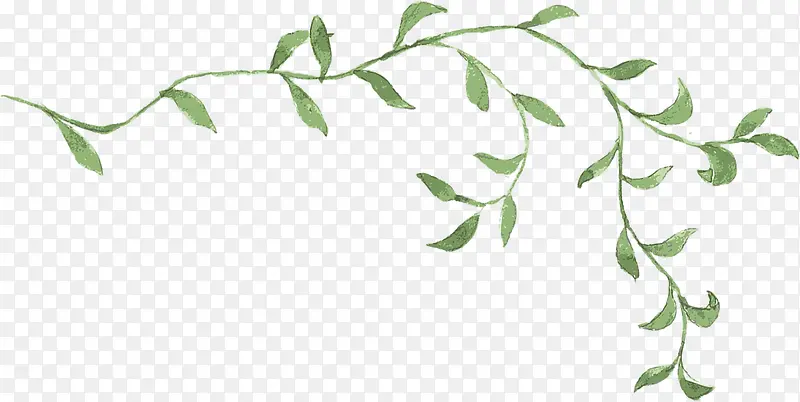 �ֻ�Ҷ�Ӳ廭�ز�-������