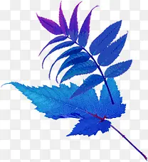 ����ɫҶ���ز�ˮ�ʻ�-������