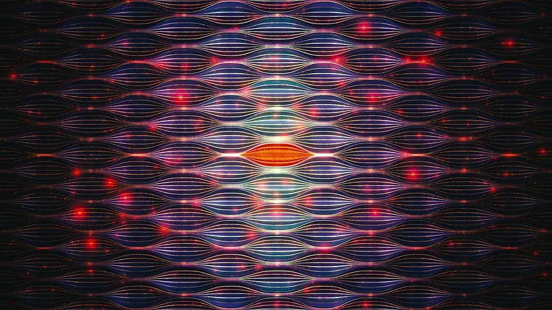 ��ɫ��״����������-������