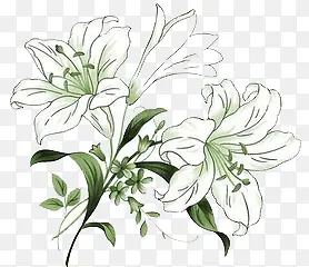 �ֻ�ٺϻ�-������