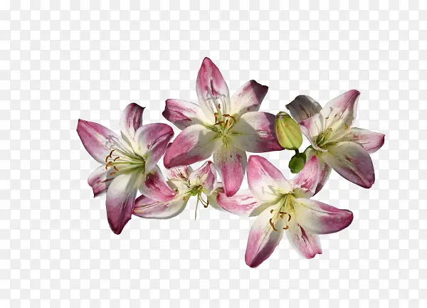 �ֻ�ٺϻ�-������