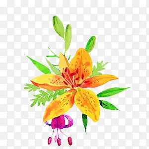 ˮ�ʰٺϻ�-������