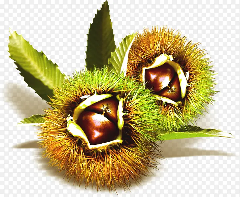 ���촴��С������-������