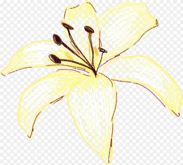 �ֻ��ɫ�ٺϻ��廭-������