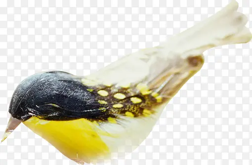 ������Ӱ�����С��-������