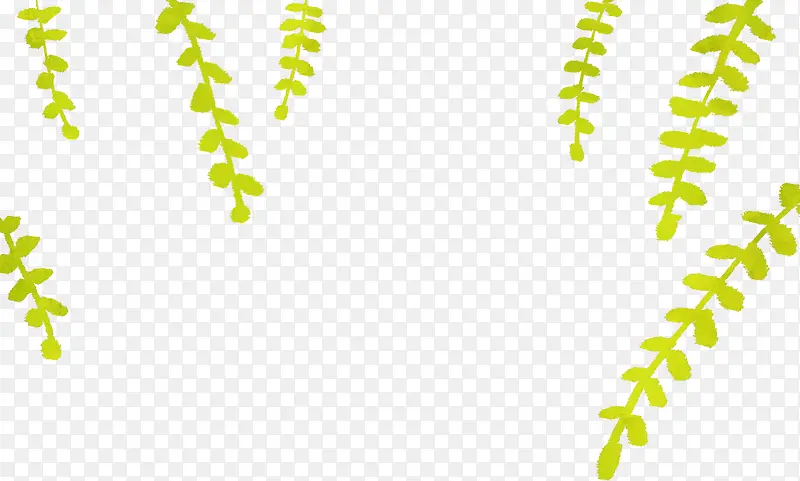 ��ɫ���ⴺ����֦-������