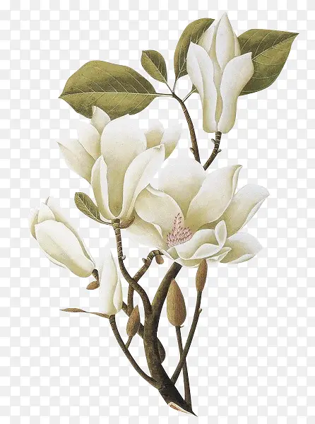 �ٺϻ��ز�-������