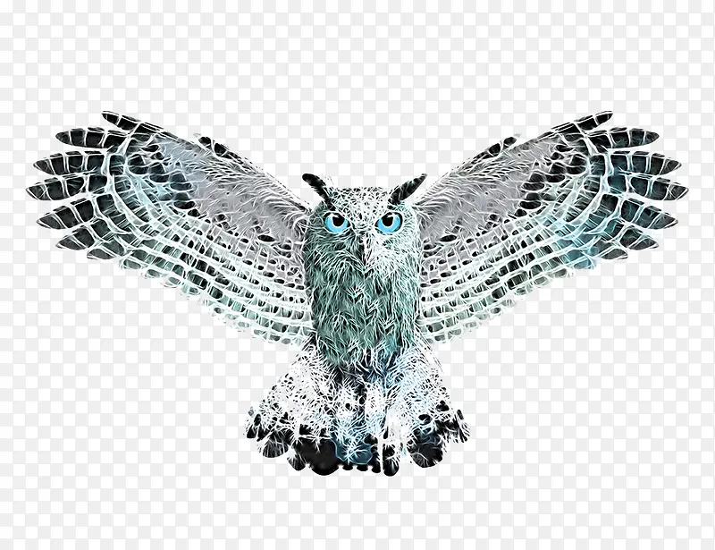 ��ͨèͷӥ-������