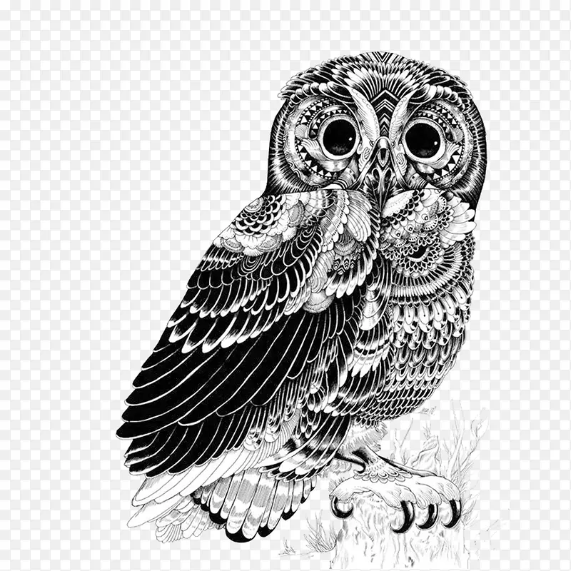 �����ֻ�-������