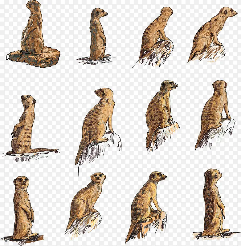 ʸ���ƺ���-������