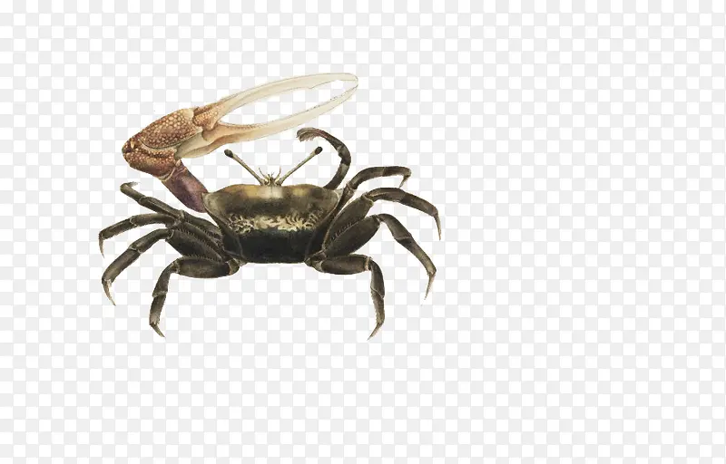 �ֻ��з-������