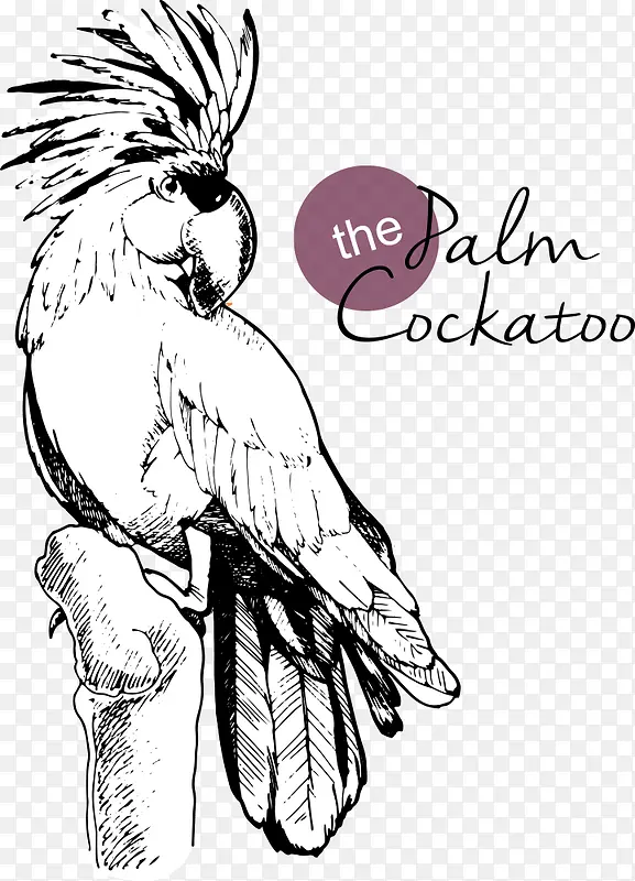 ʸ������-������