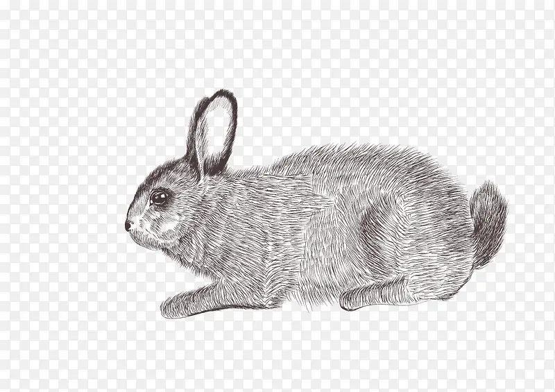 �ֻ�����-������