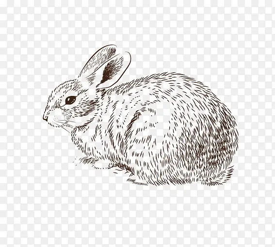 �ֻ�����-������