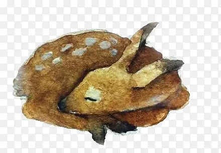 �ֻ涯��-������