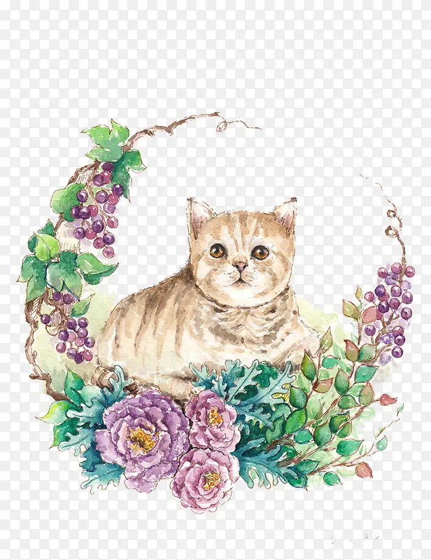 �ֻ�Сè-������