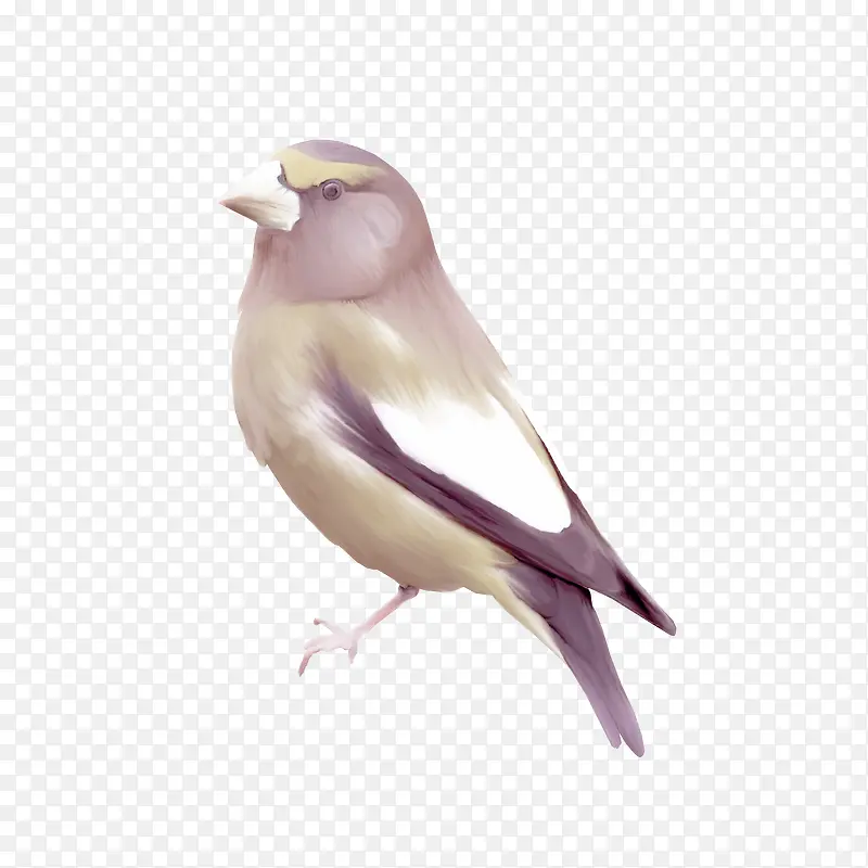 �ֻ���-������