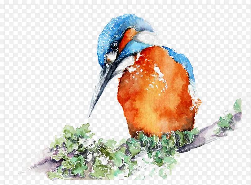 �ֻ���-������