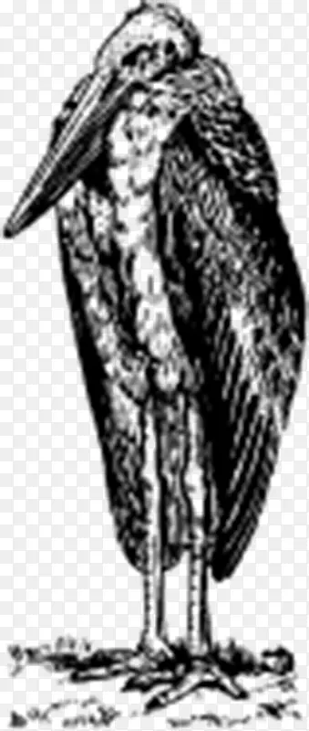 �ֻ���-������