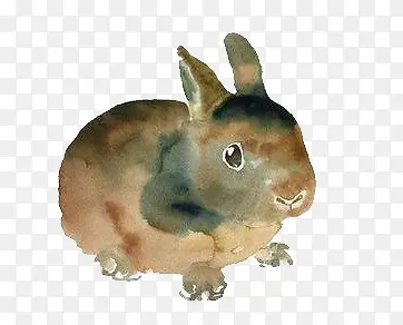 �ֻ�ˮ������-������