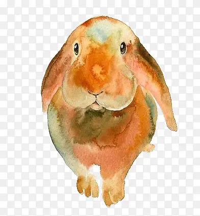 �ֻ�ˮ������-������