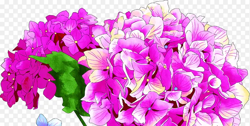 ��ɫ���俨ͨ���ֻ�-������