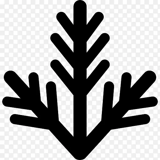 ʥ����֦װ��ͼ��-������