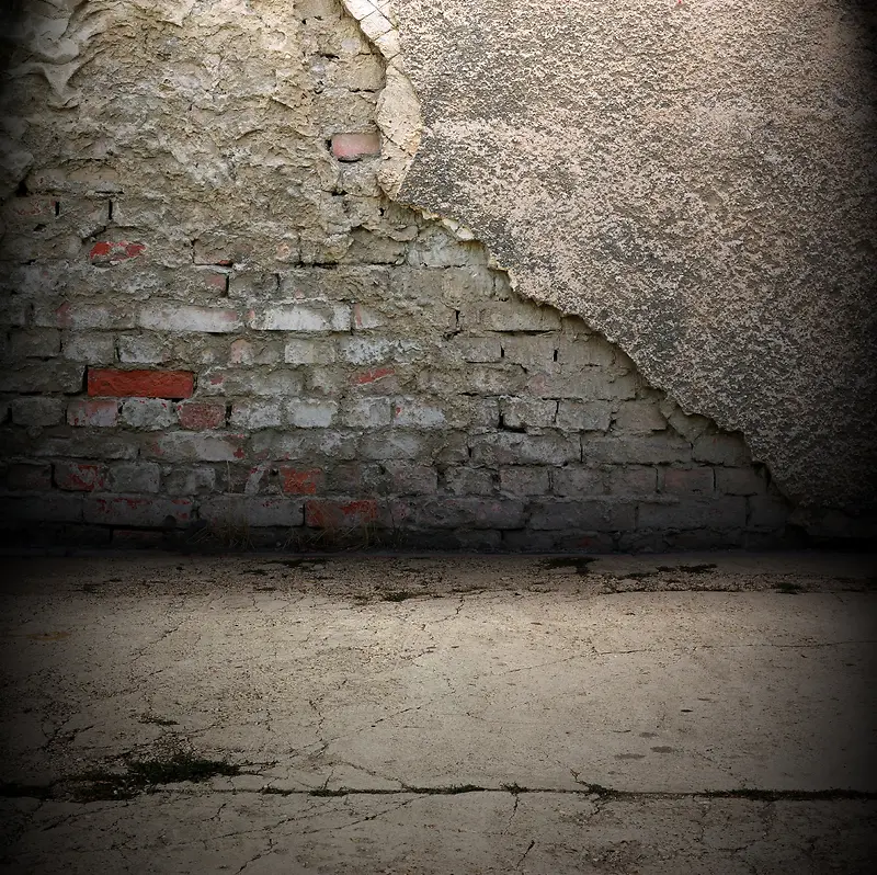 ����ǽ�ڱ���-������