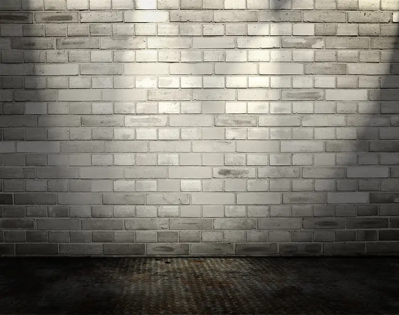 ǽ�ڱ���-������