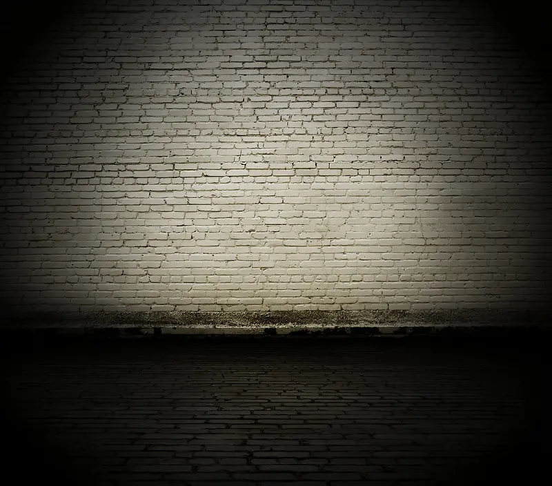 ����ǽ�ڱ���-������