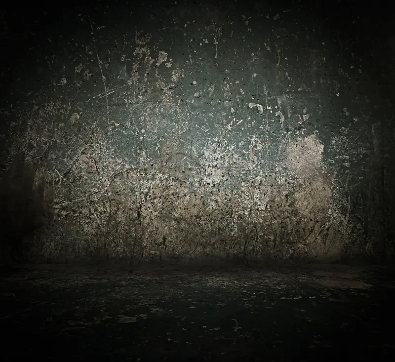 ����ǽ�ڱ�������-������