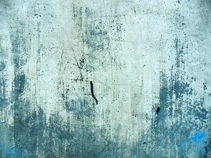 ����ǽ�ڱ���-������