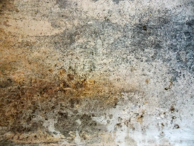 ����ǽ�ڱ���-������