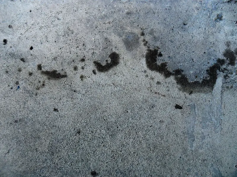 ˮ��ǽ�ڱ���-������