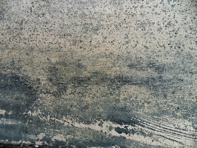 ǽ�ڵ��Ʊ���-������