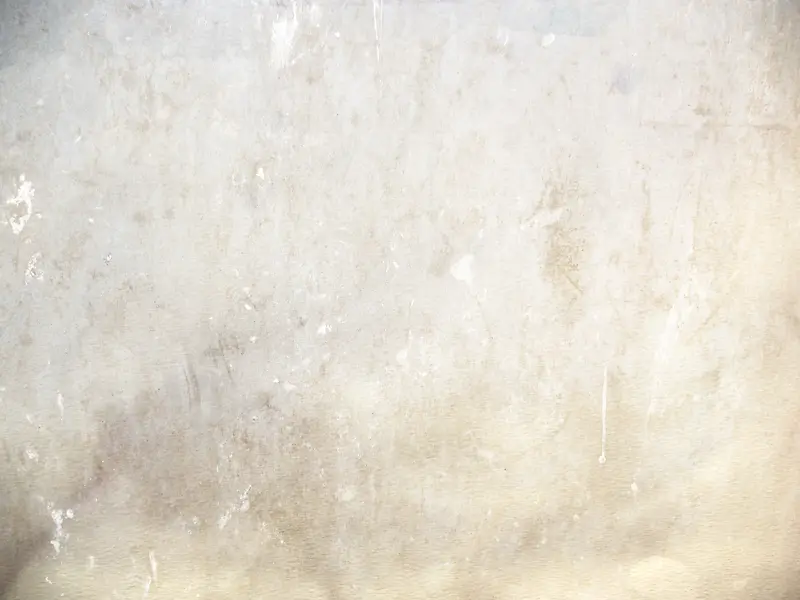 ǽ�ڱ�������-������