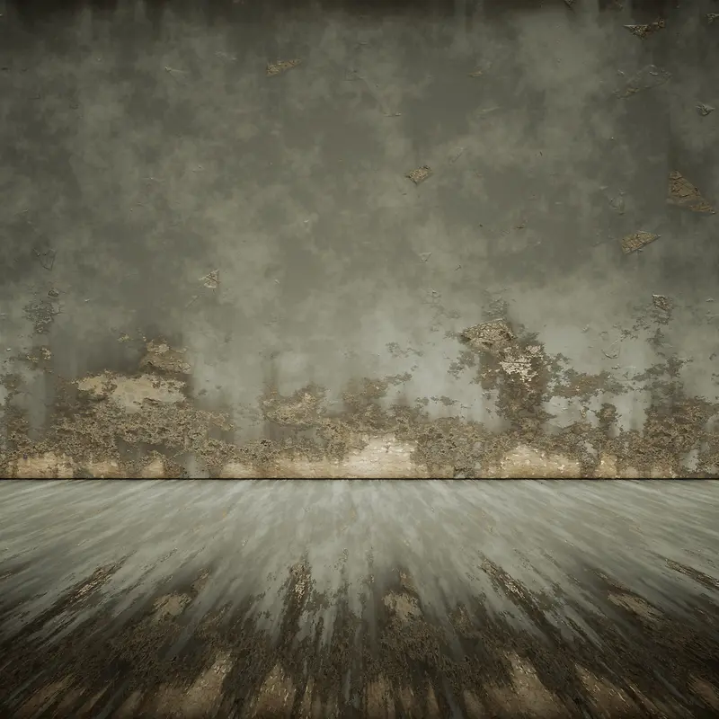 ˮ��ǽ��ˮ��ر���-������