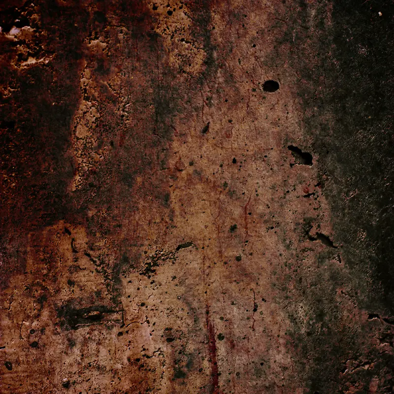 ����ǽ�ڱ���-������