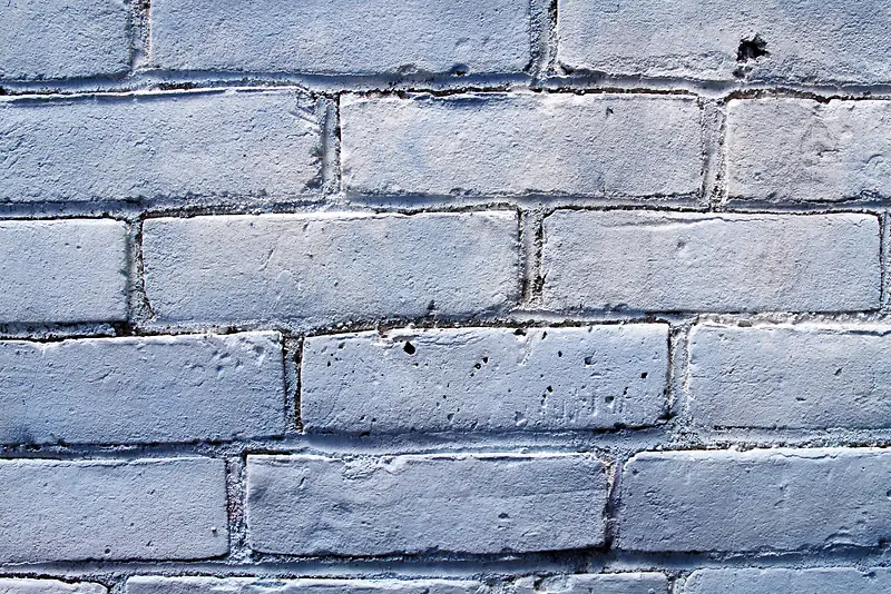 ǽ�ڱ���-������