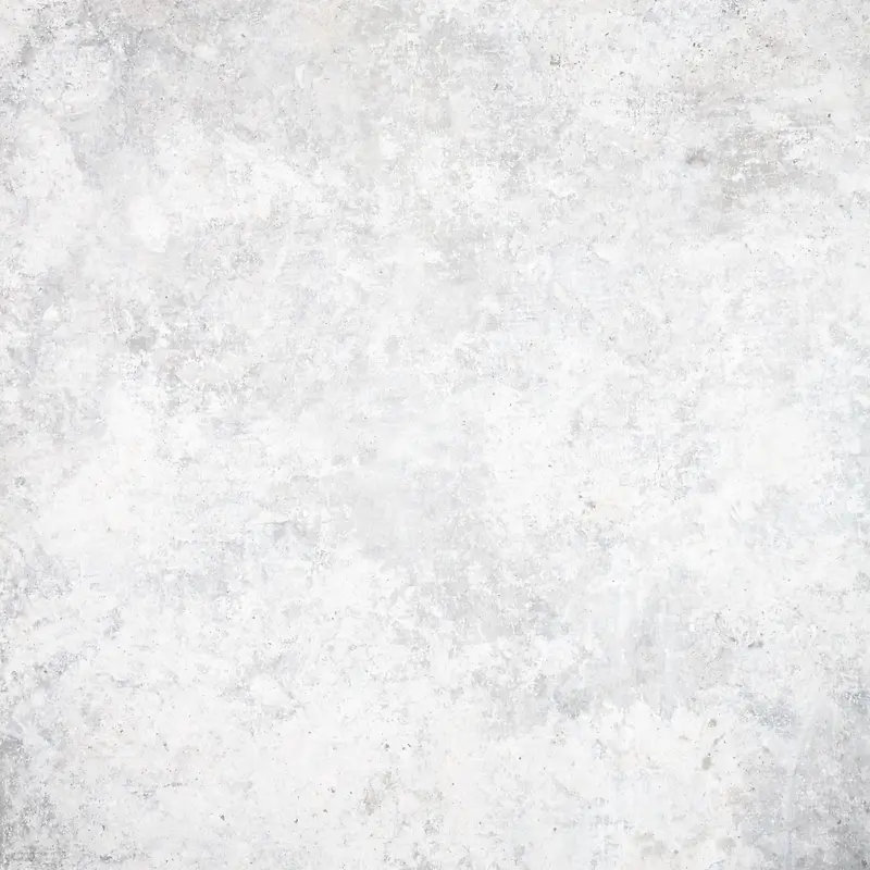 ǽ�ڱ�������-������