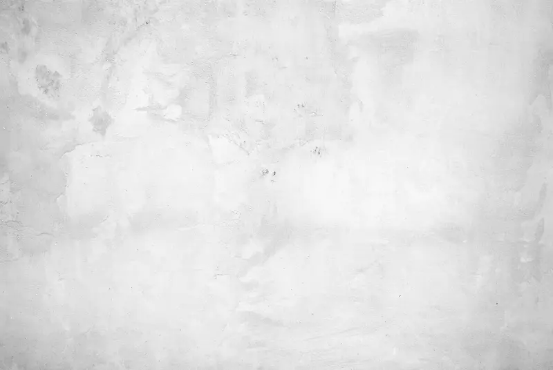 ������ǽ�ڱ���-������