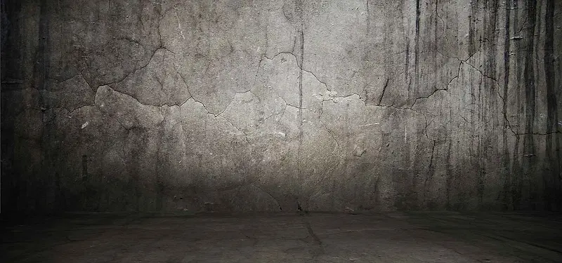 ľ��ذ屳��ǽ����-������