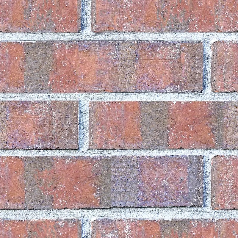 ǽ����Ӱ-������